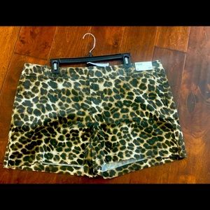 Leopard print NY&C shorts